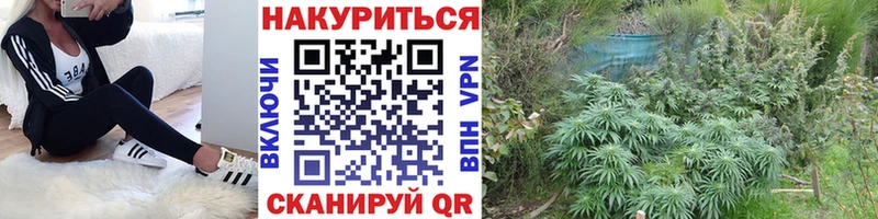 МЕФ Перевоз