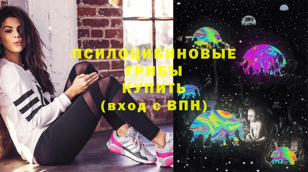 гидра Богданович