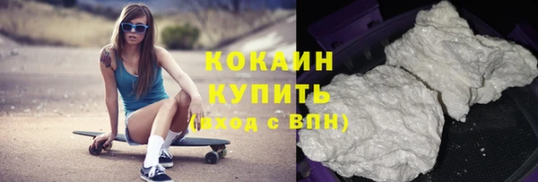 гидра Богданович