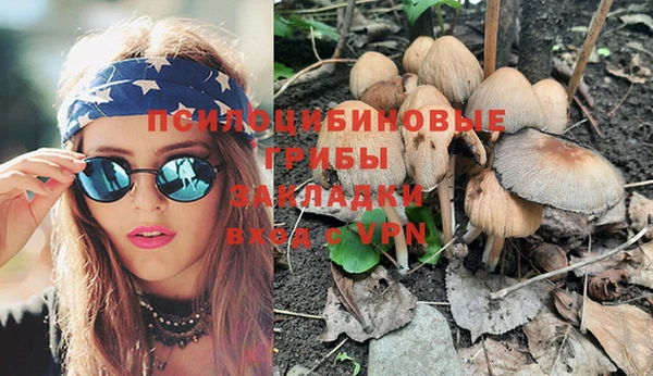 спайс Богородицк