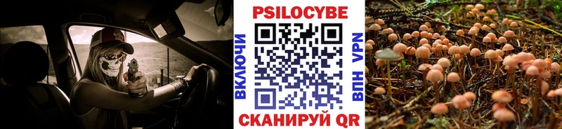 Купить закладки  Перевоз  Галлюциногенные грибы GOLDEN TEACHER 